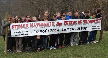 Chiens de troupeaux