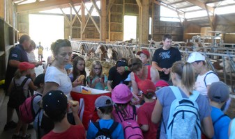 Ferme